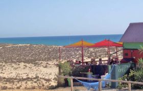 Local - Beach Bars & Restaurants